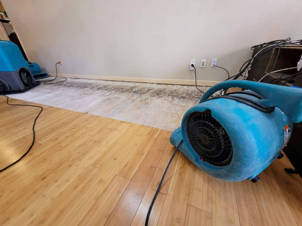 Professional Water Damage Repair technician working in Kinsman, OH